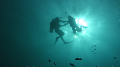 Deep Dive — Amarcus